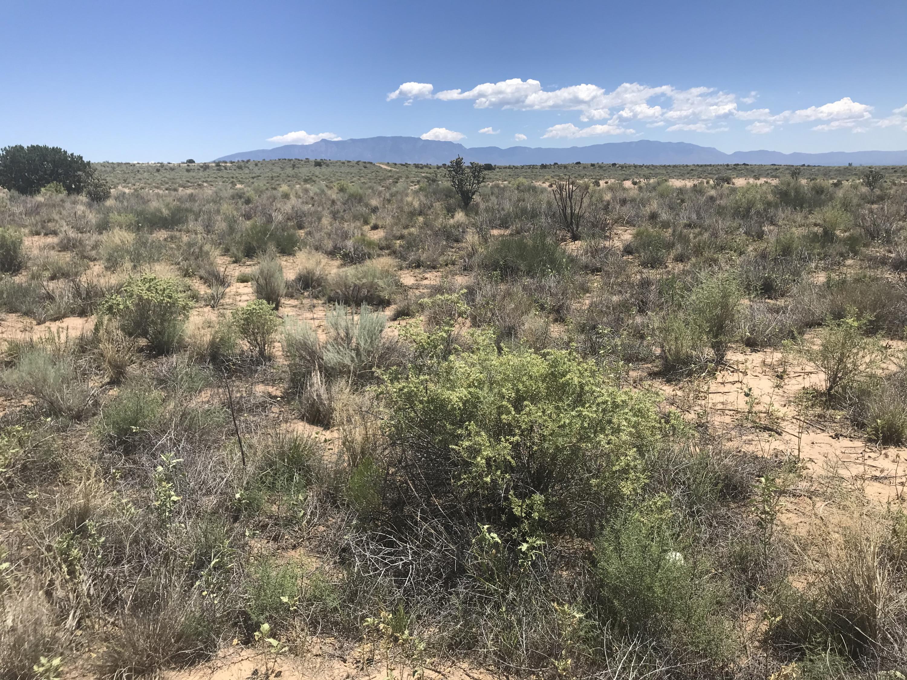 Lot 20 801 13th Avenue Sw Property Photo