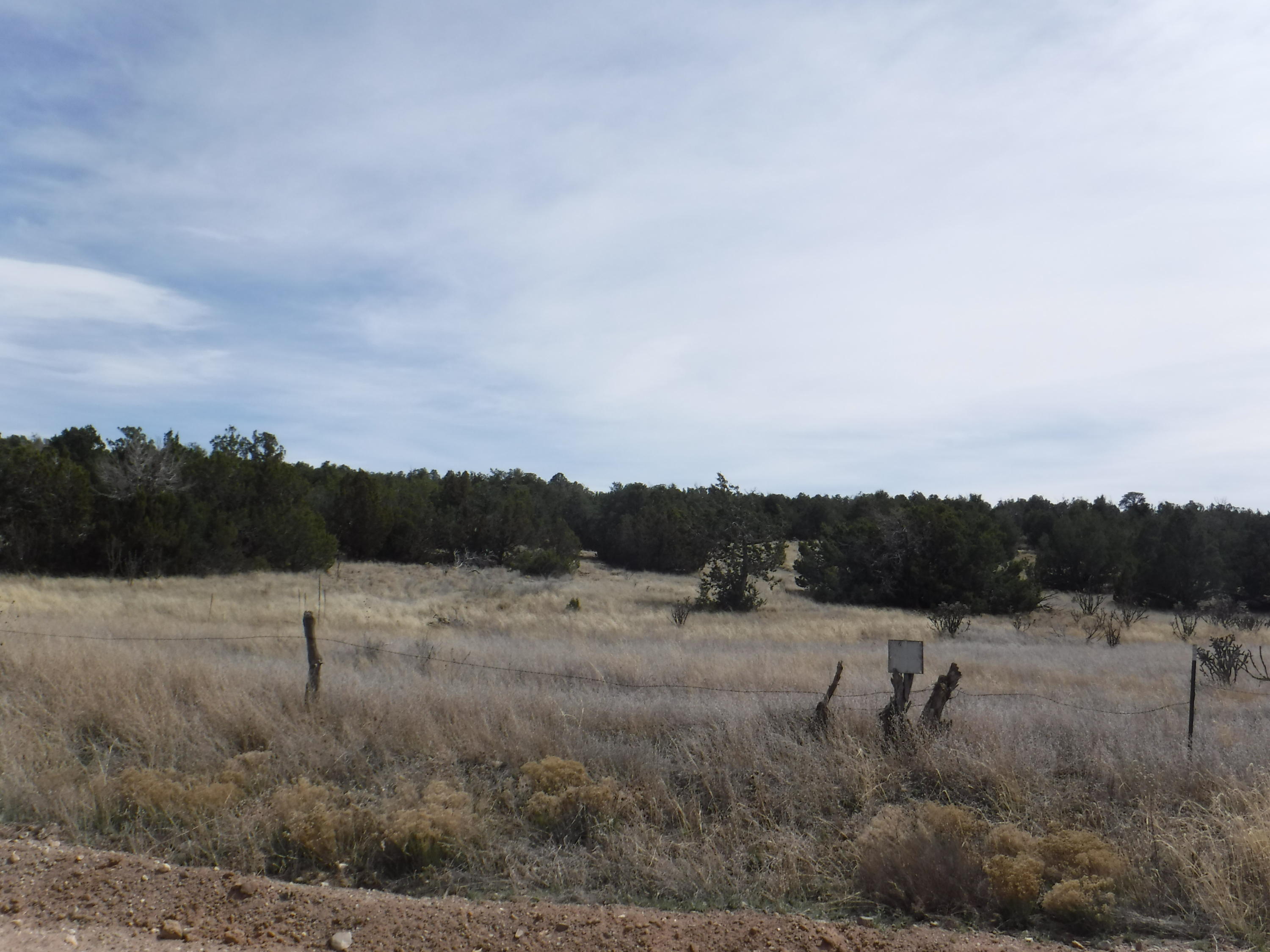 0 Martinez Road Property Photo 1