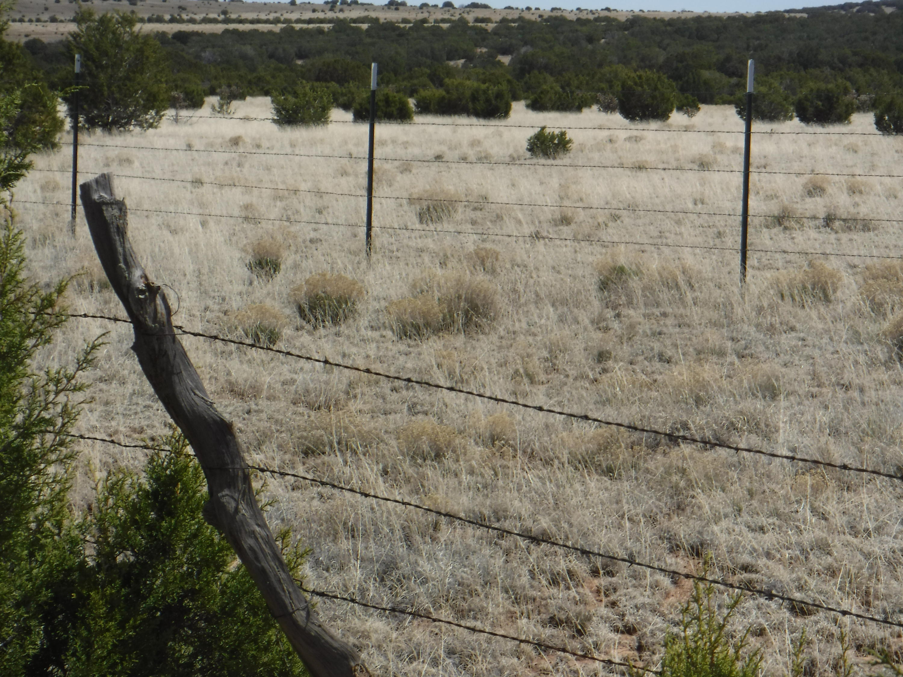 Sunflower Place Property Photo 1