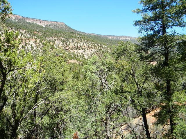 River Drive Property Photo