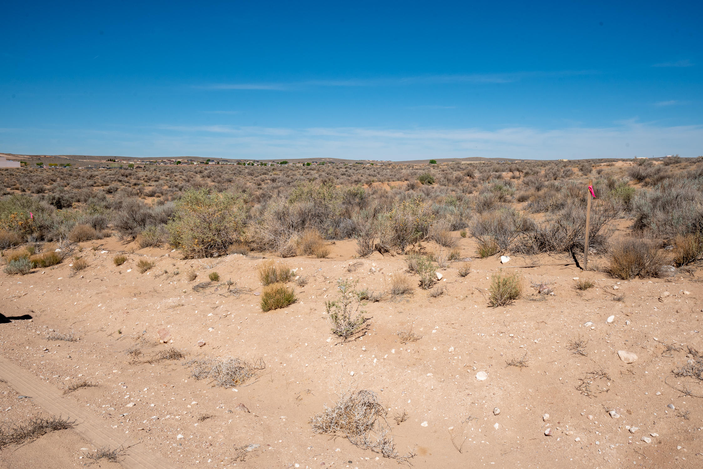 Palm Road NE Property Photo 1