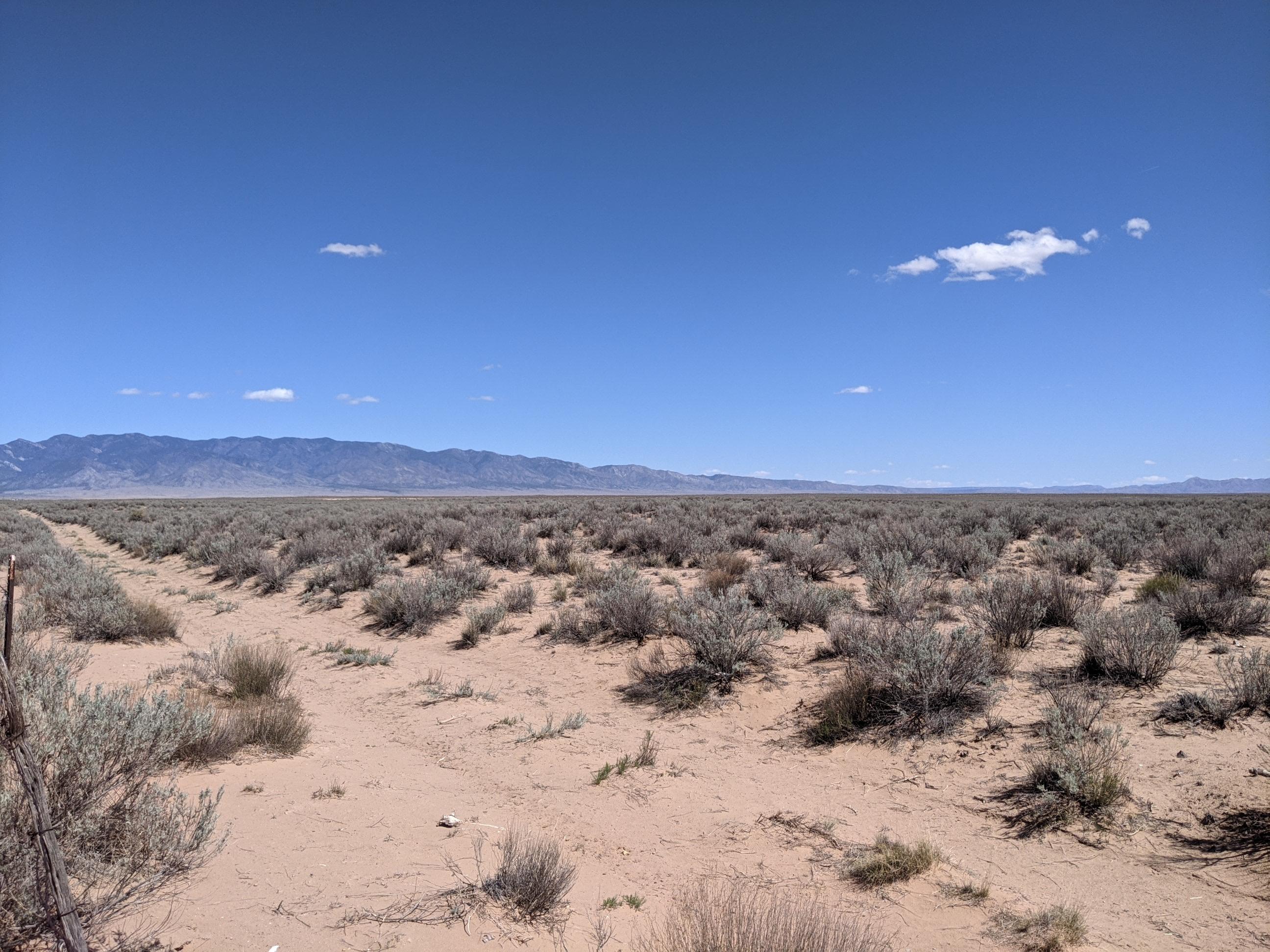 Rio Grande Estates Lot 23 Property Photo