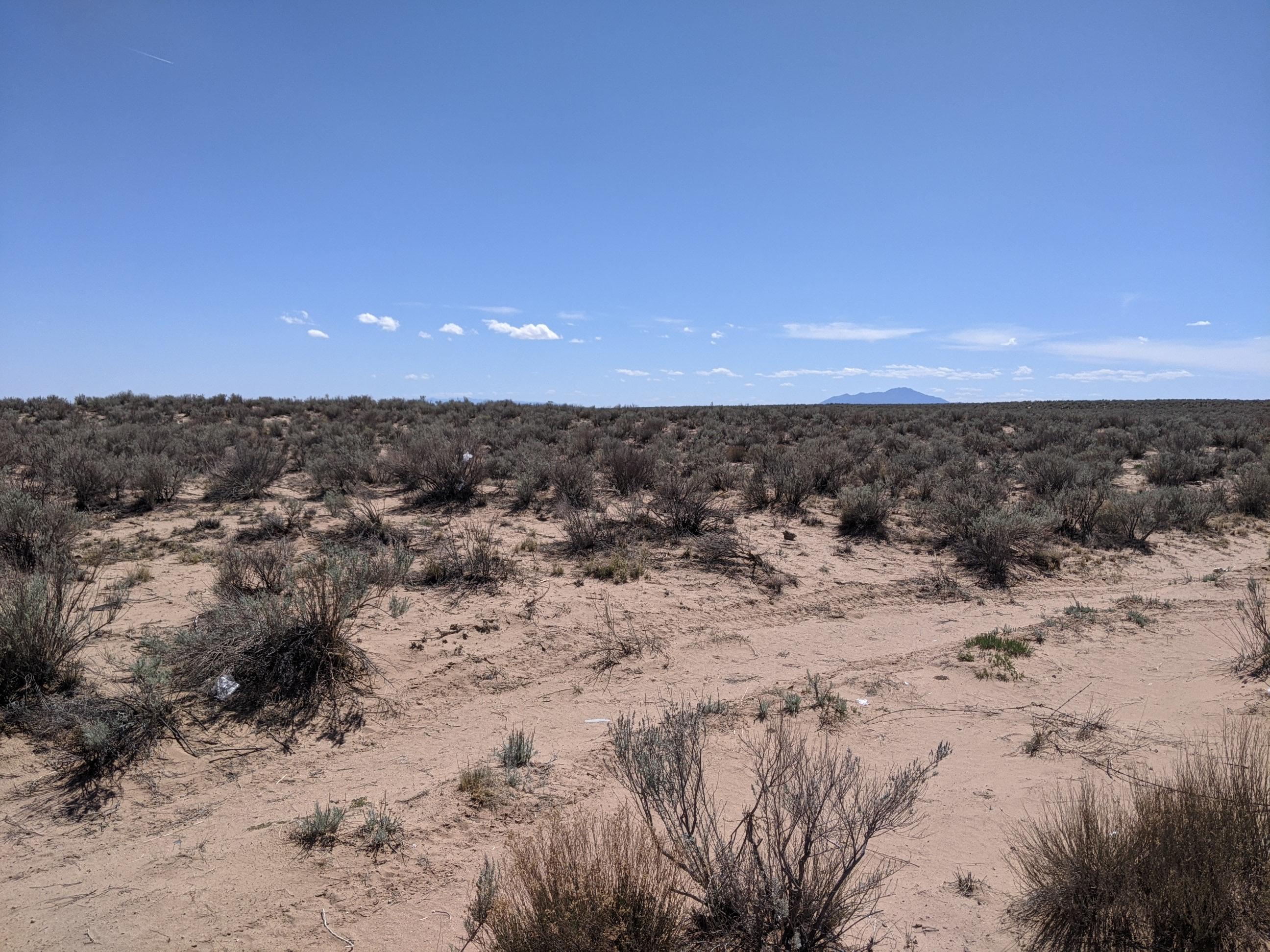 Rio Grande Estates Lot 24 Property Photo