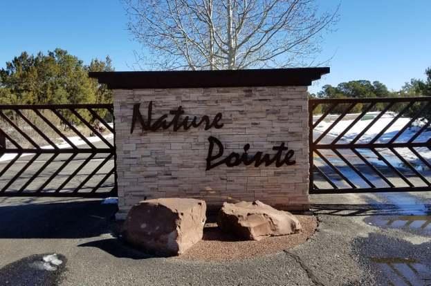 46 Nature Pointe Drive Property Photo