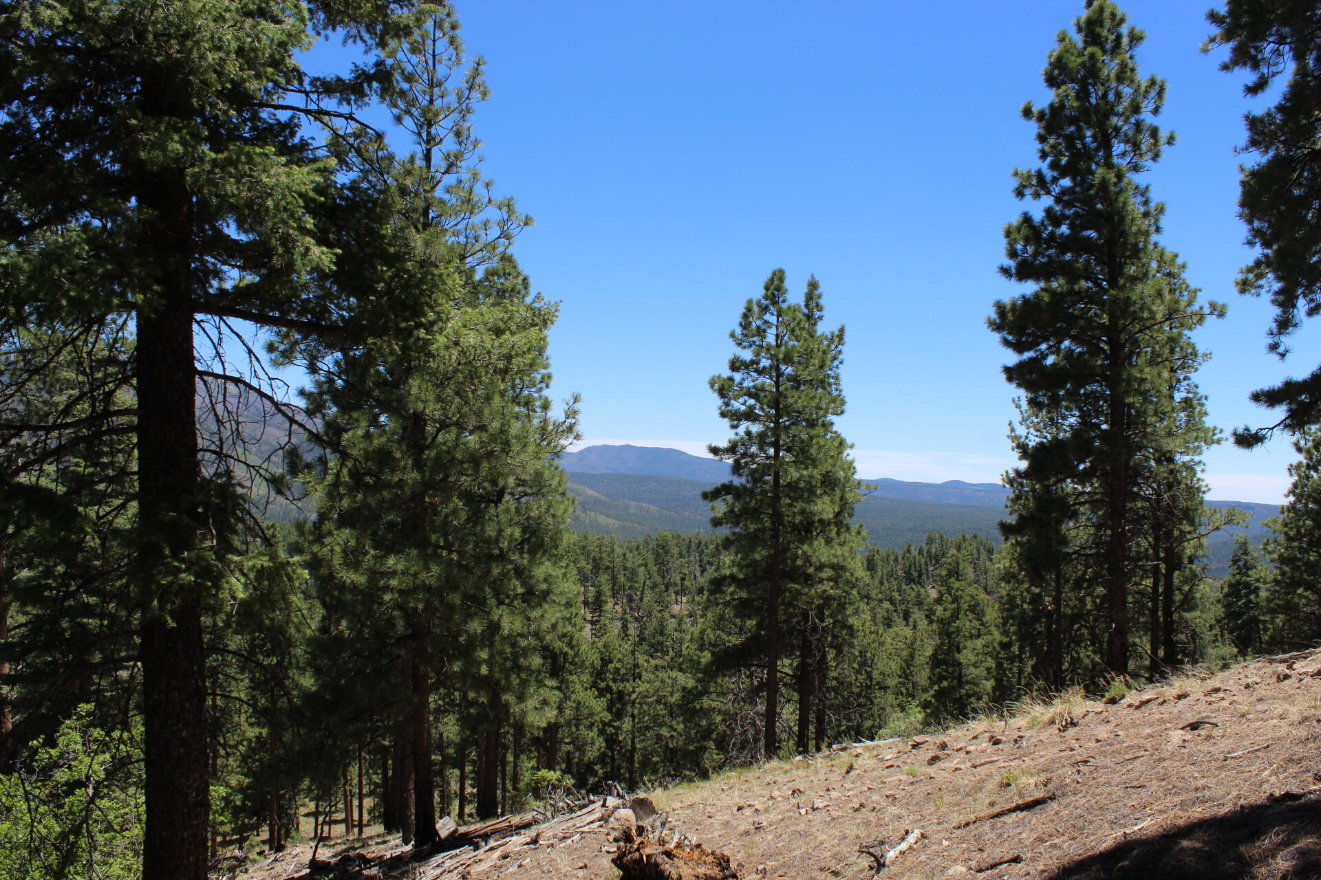 Turkey Trail Property Photo