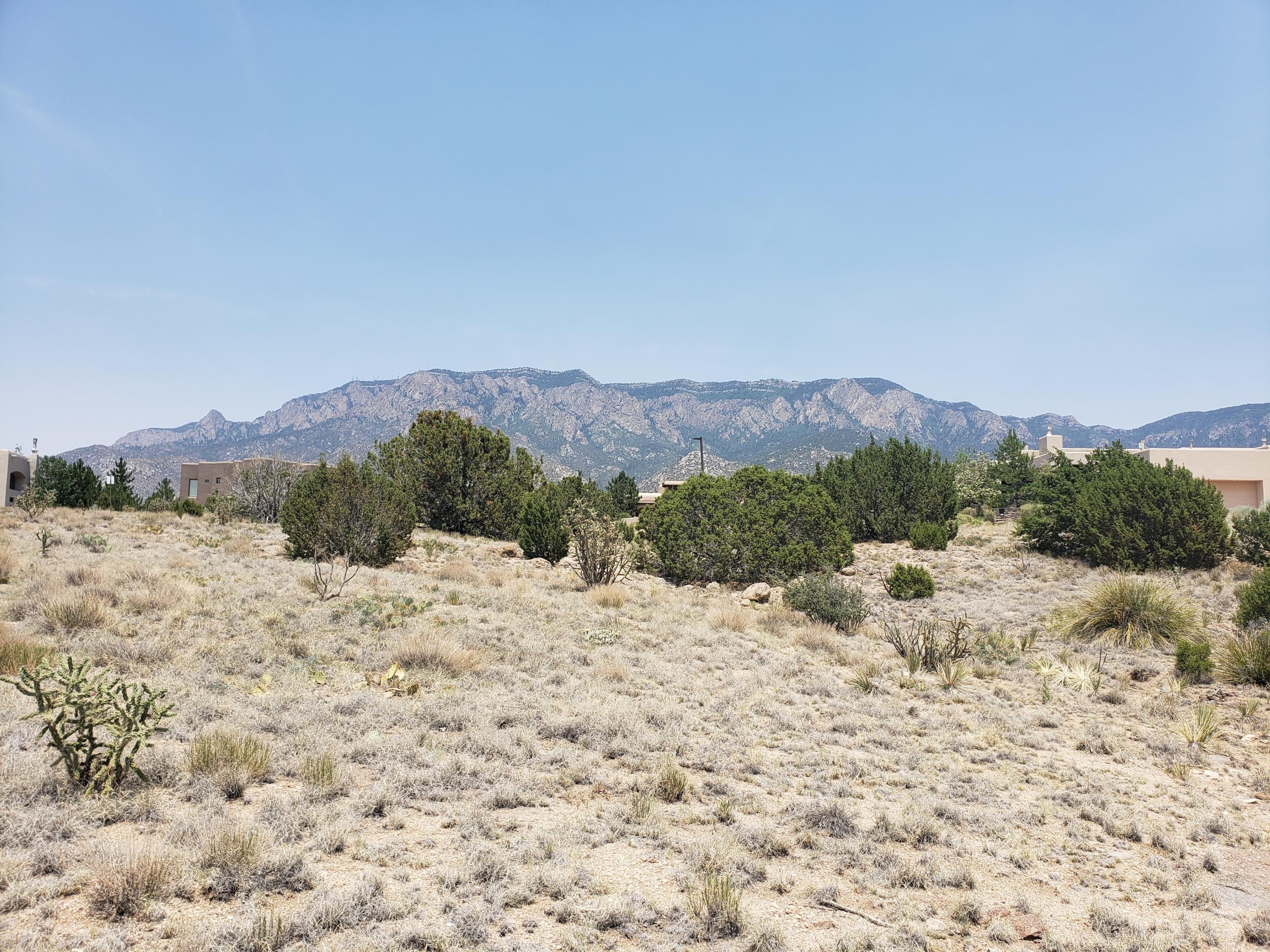 6705 Saltbush Court Ne Property Photo