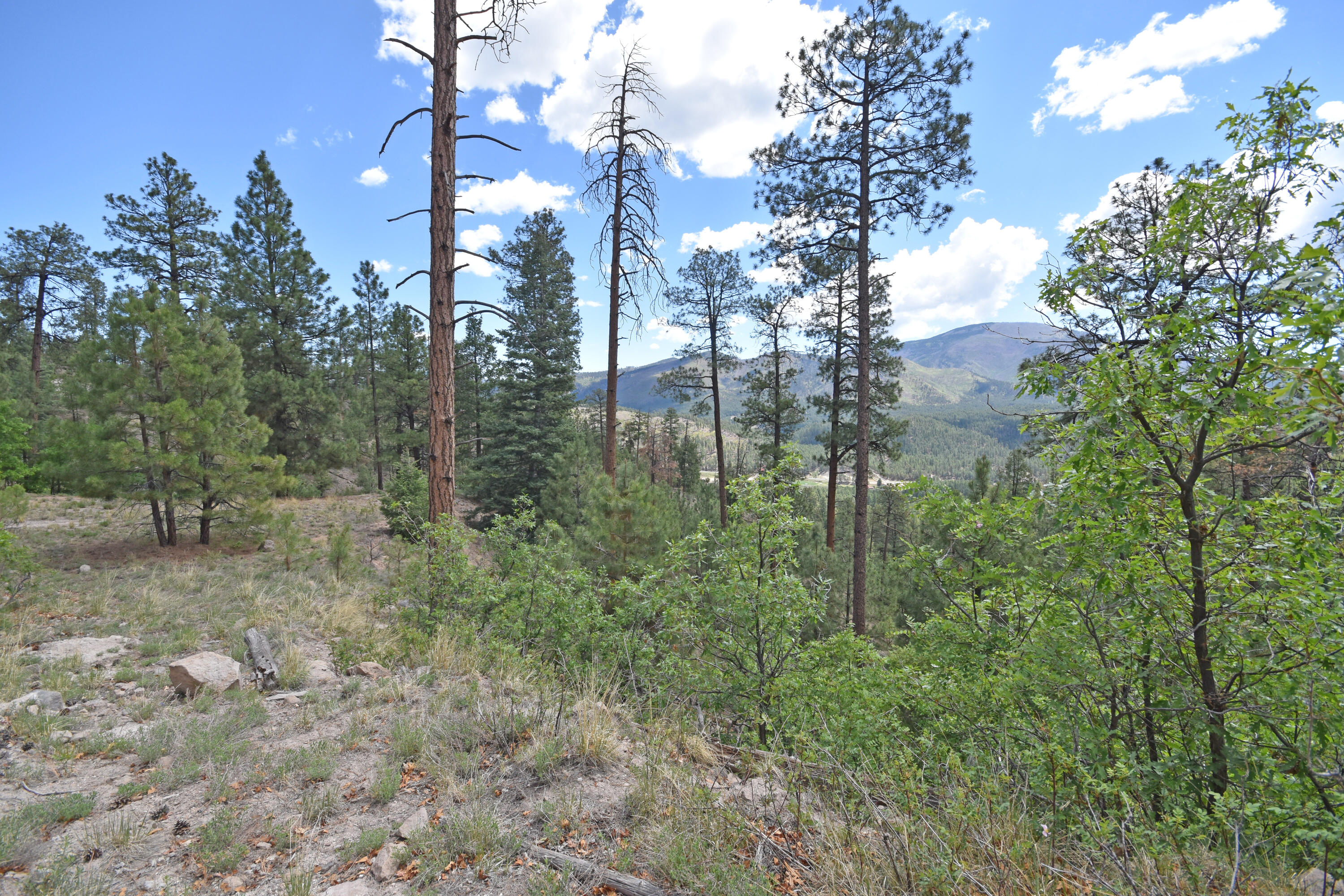 Lot 9 Beryl Road Property Photo