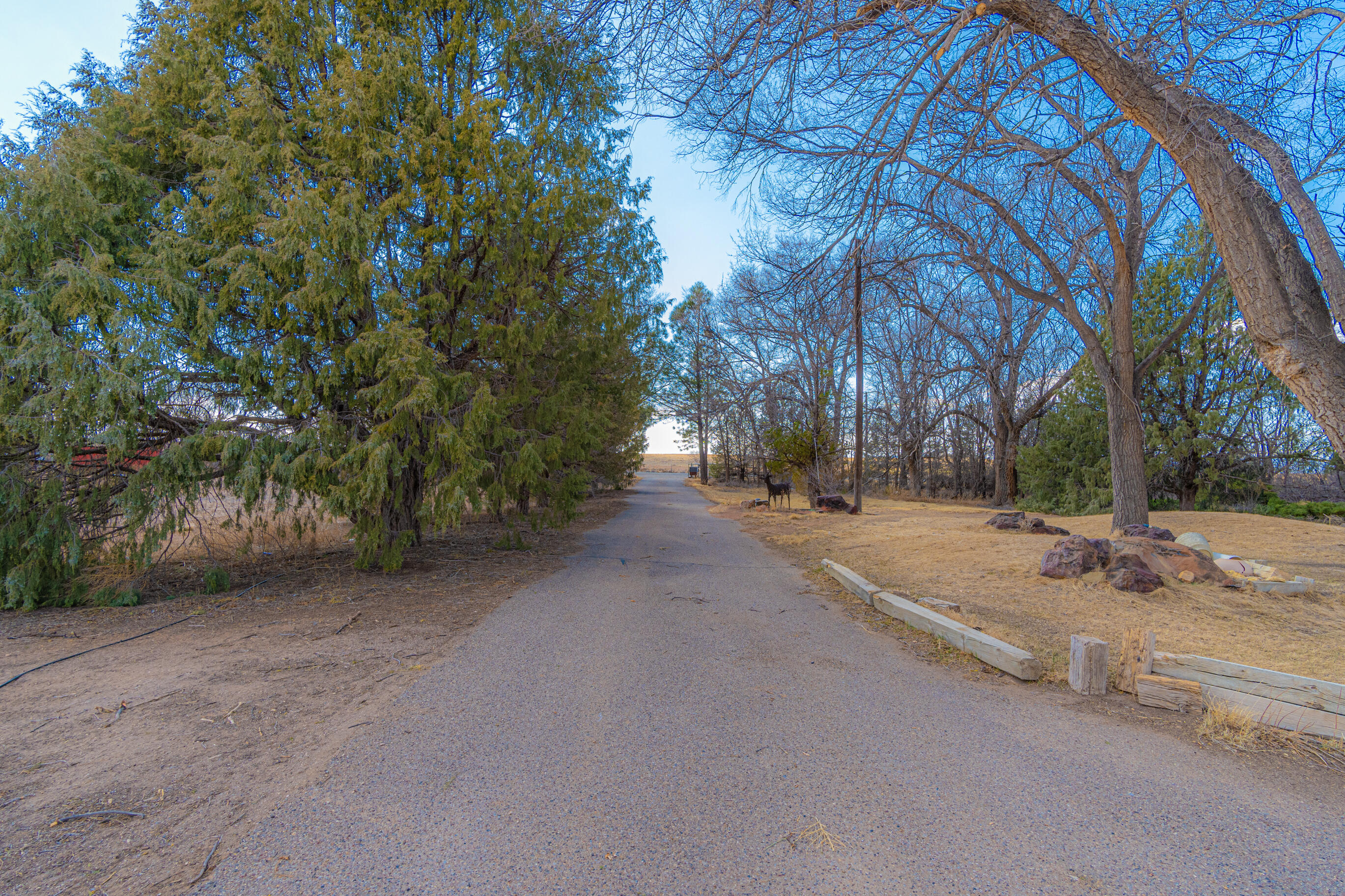 3236 Nm-41 Property Photo