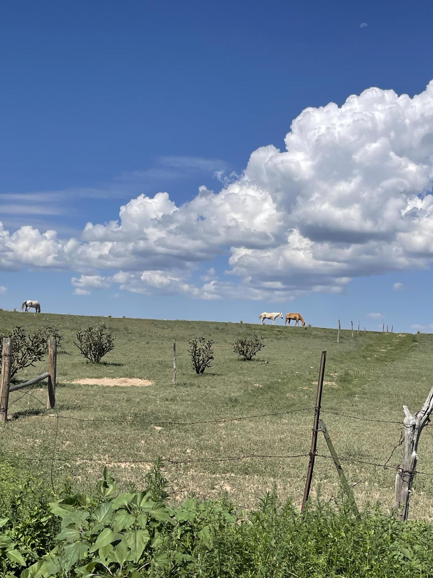 0 Martin Rd Moriarty, Nm 87035 Property Photo
