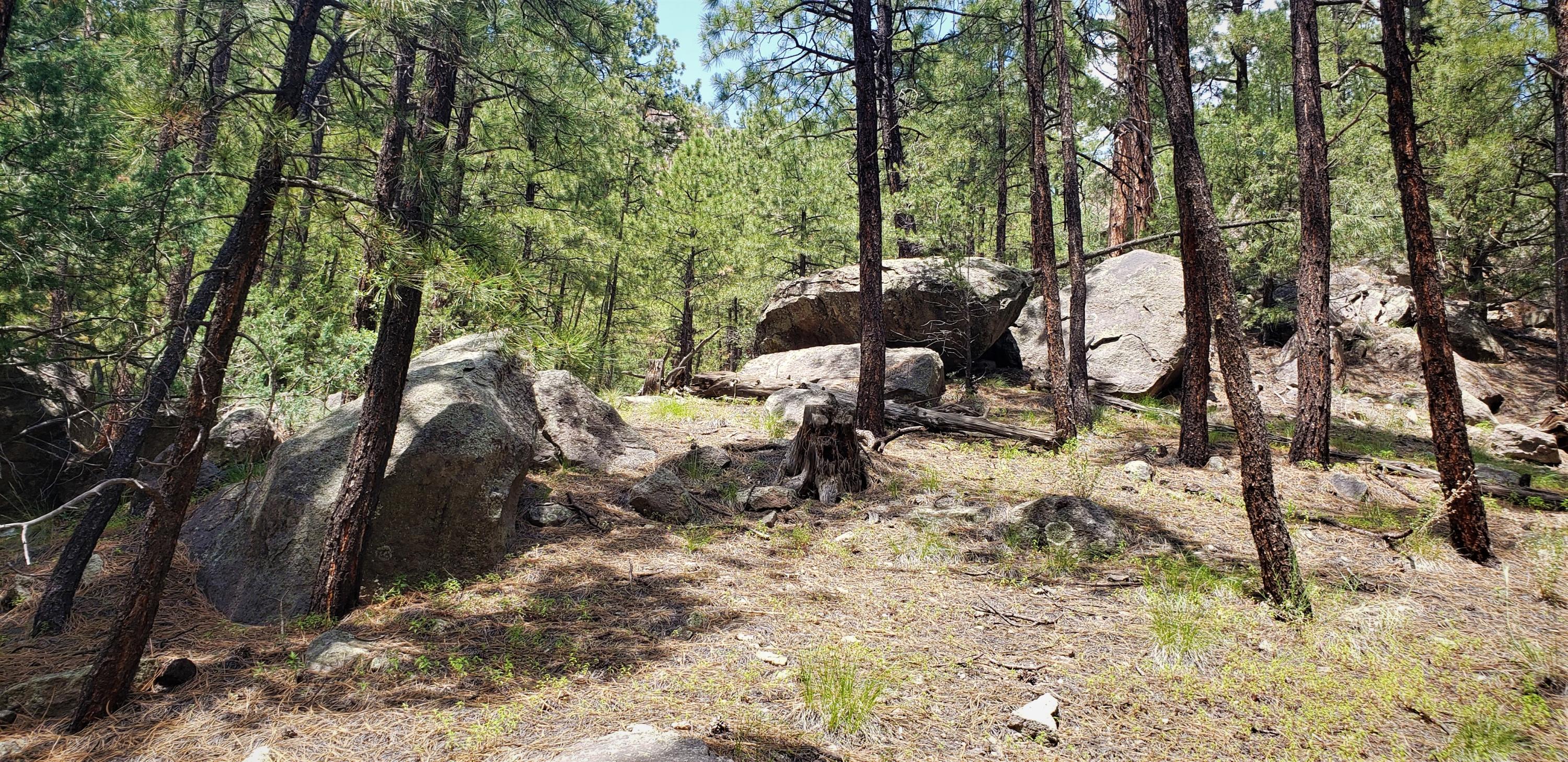 Cool Pines Lot 39,40, 41 Property Photo