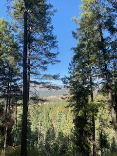 Los Griegos Road Property Photo