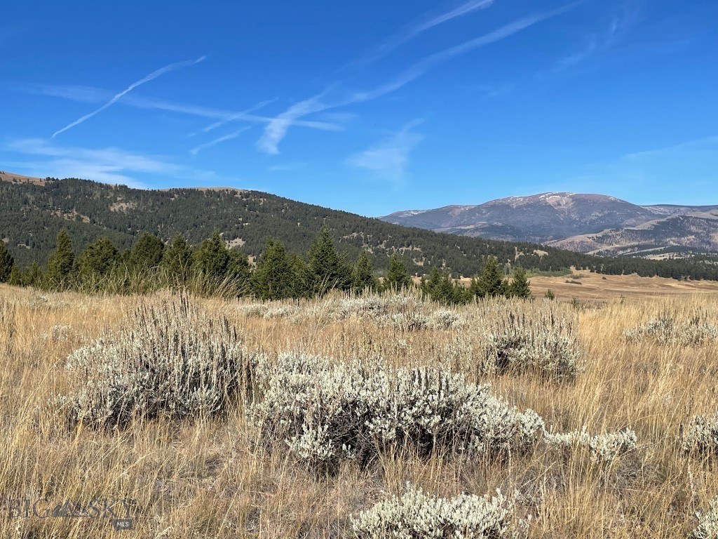 200 Mountain View Trail Property Photo 2