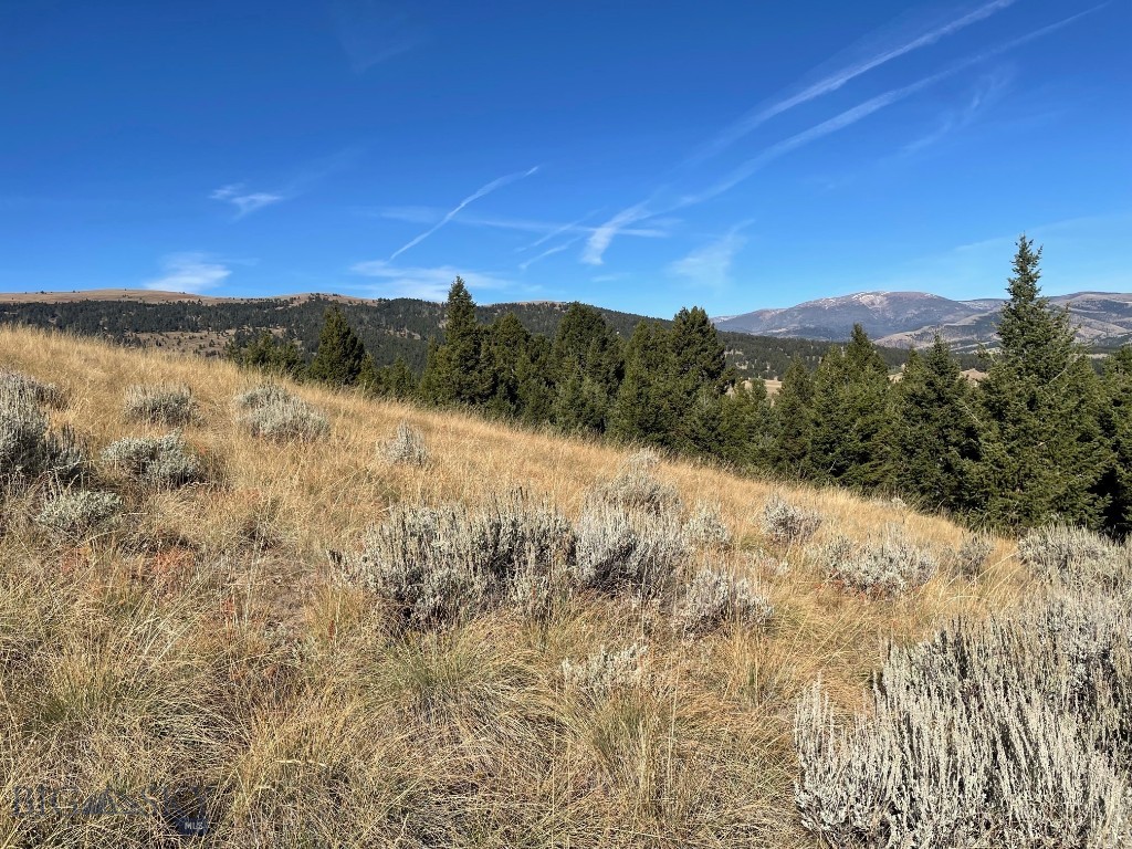 200 Mountain View Trail Property Photo 5