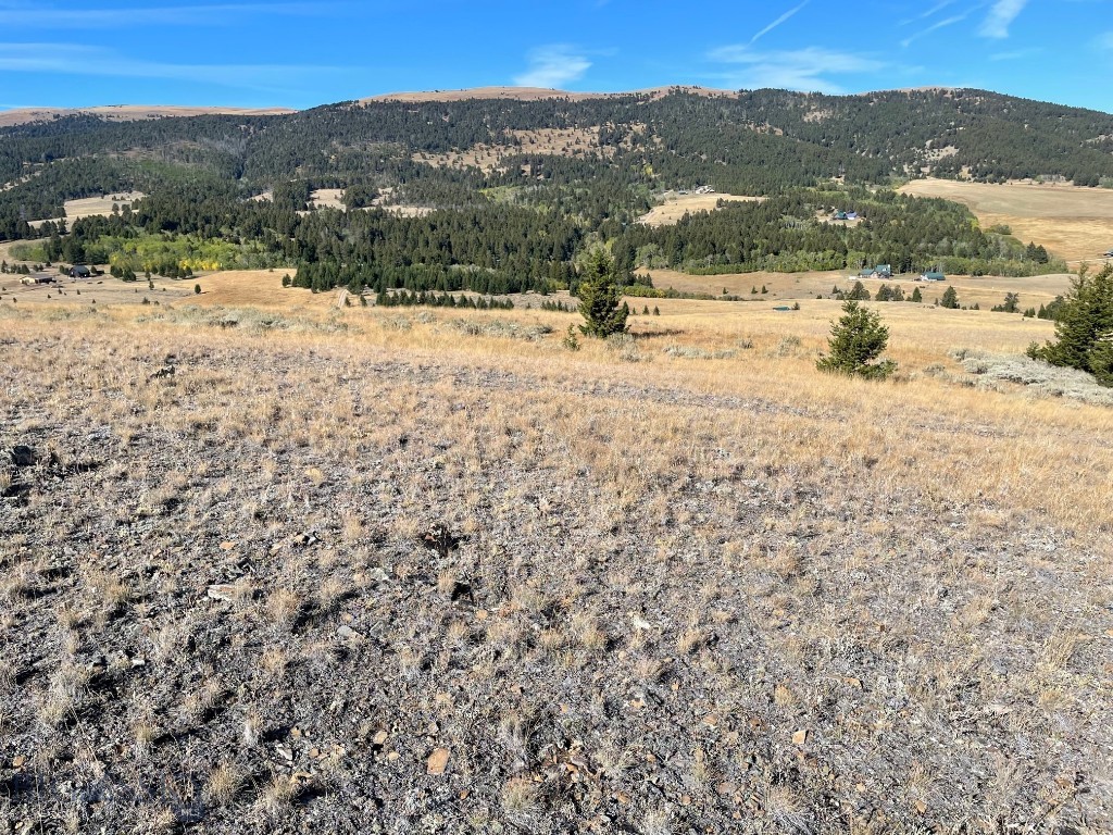 200 Mountain View Trail Property Photo 6