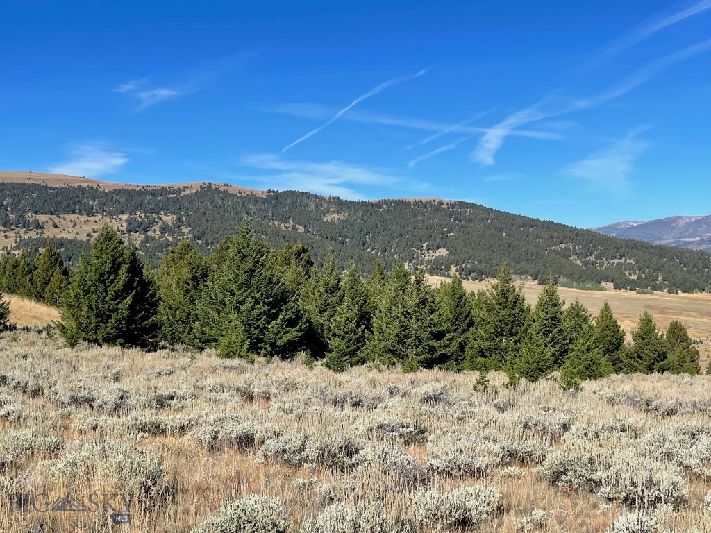200 Mountain View Trail Property Photo 10