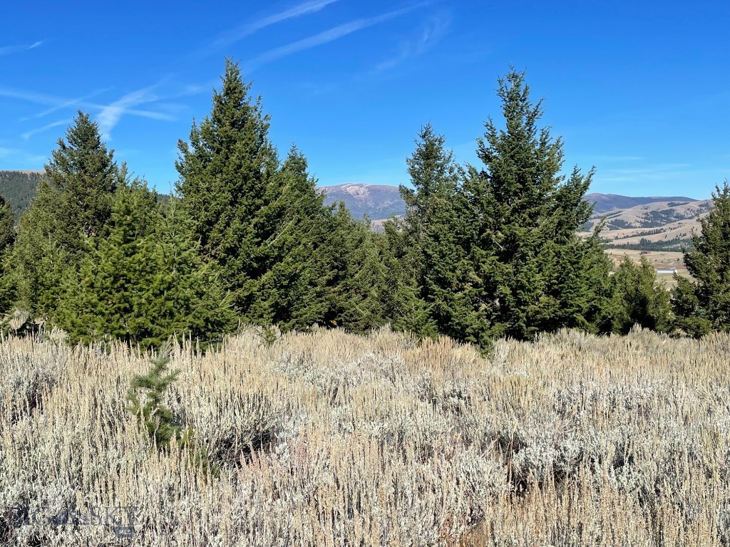 200 Mountain View Trail Property Photo 12