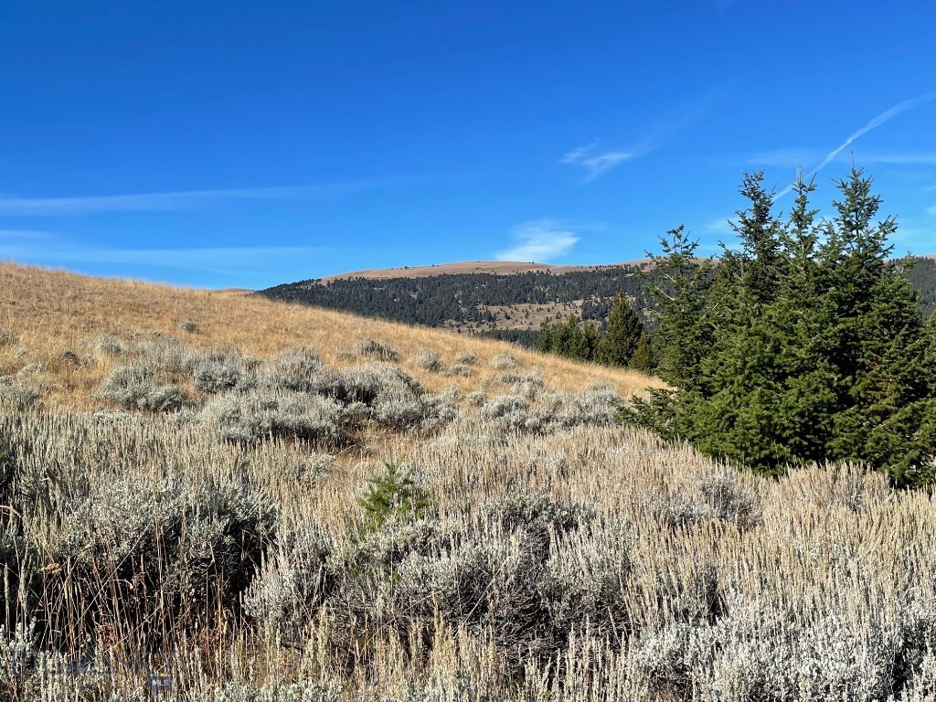 200 Mountain View Trail Property Photo 14