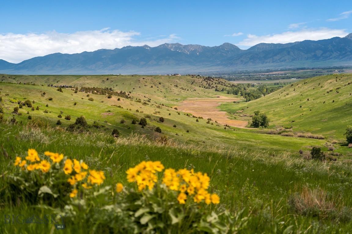 Montana Ranch Real Estate Listings Main Image
