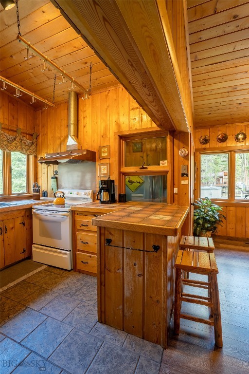 42520 Gallatin Road Property Photo 28