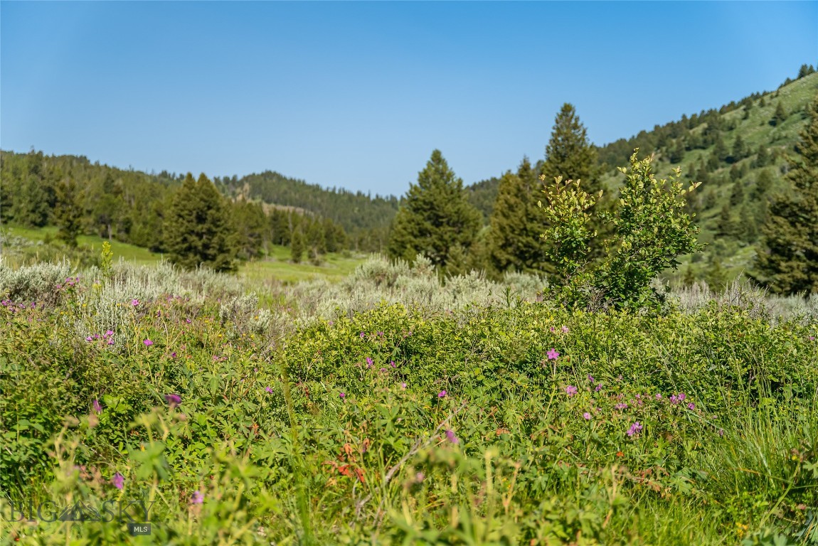 Tbd Woodchuck Road Property Photo 4