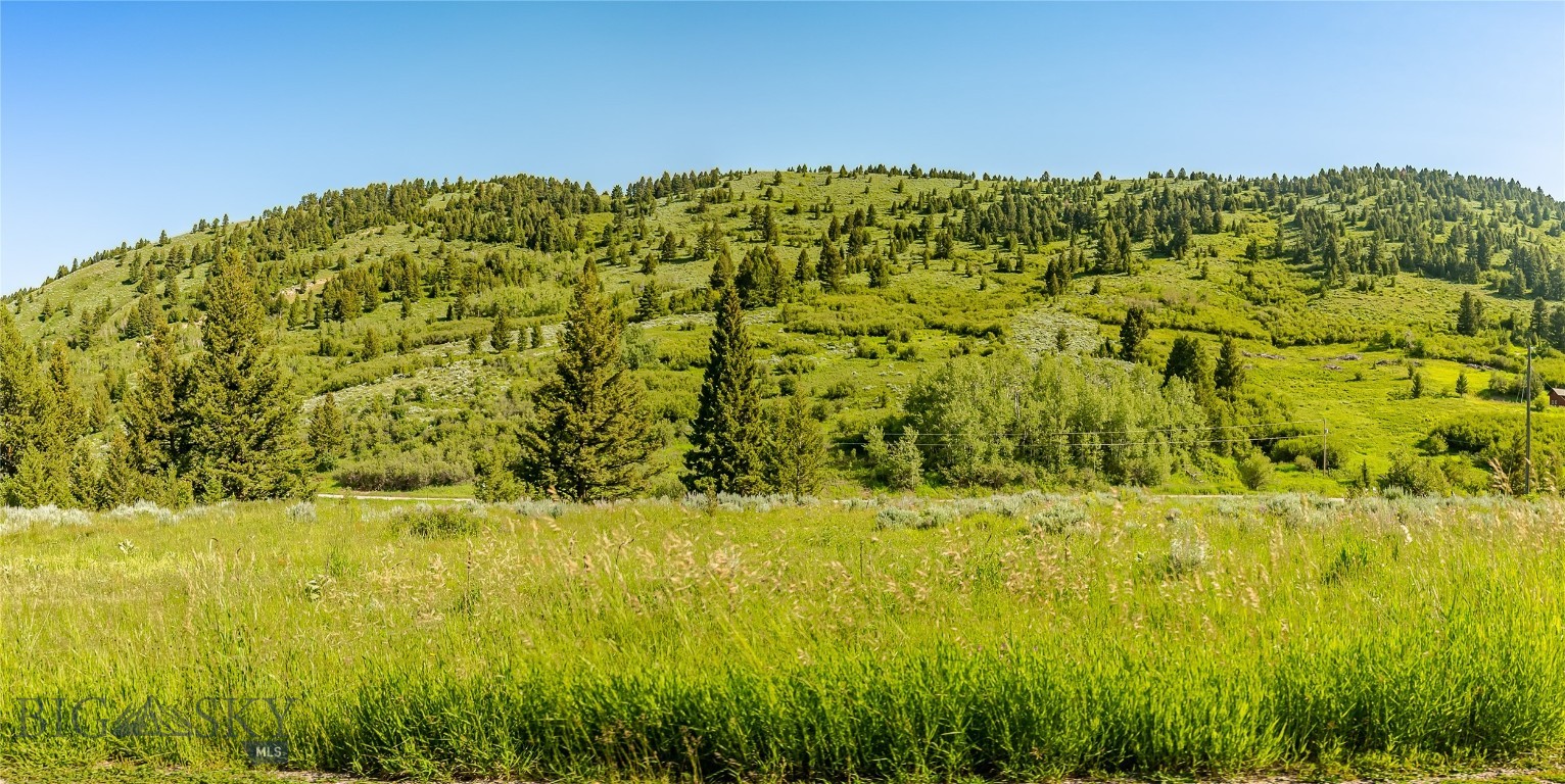 Tbd Woodchuck Road Property Photo 9