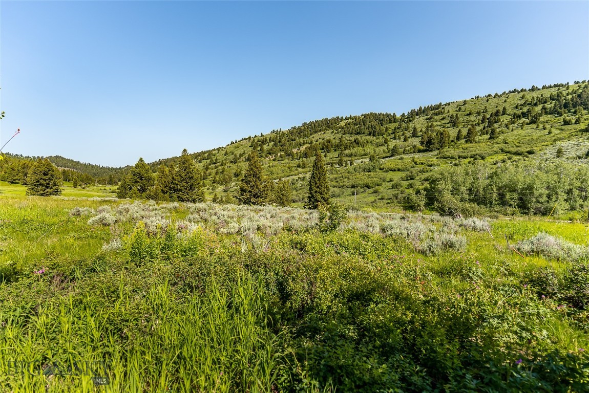 Tbd Woodchuck Road Property Photo 10