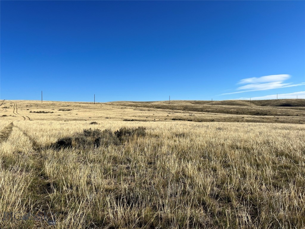 880 Chreston Lane Property Photo 18