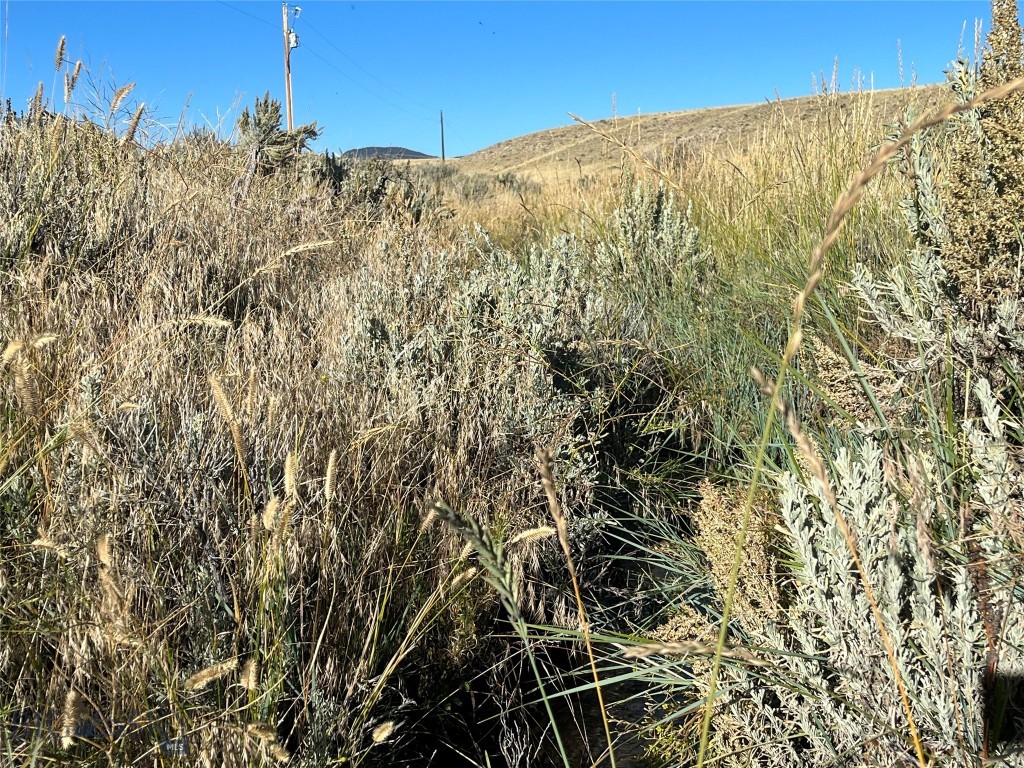 880 Chreston Lane Property Photo 24