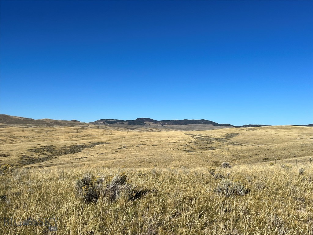 880 Chreston Lane Property Photo 38