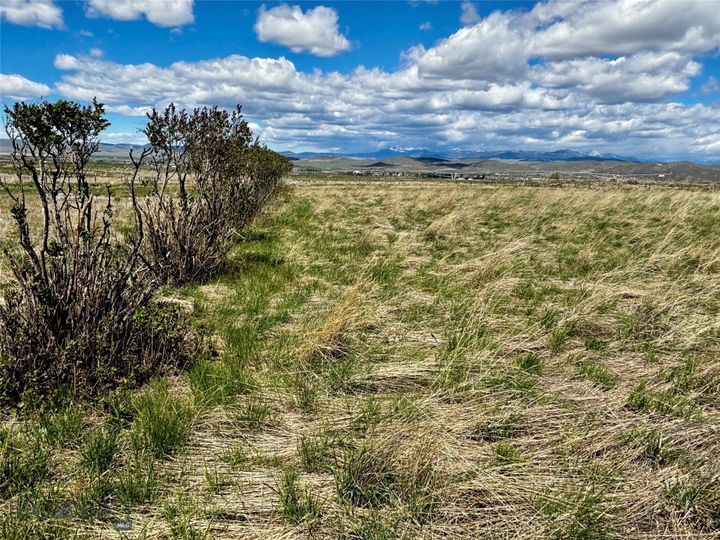 120 Rodeo Trail Property Photo 59