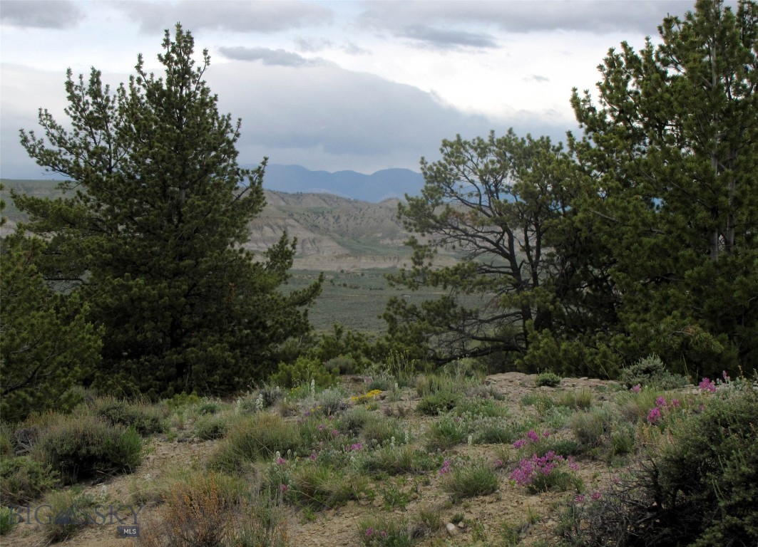 Nhn Cottonwood Road Property Photo 4