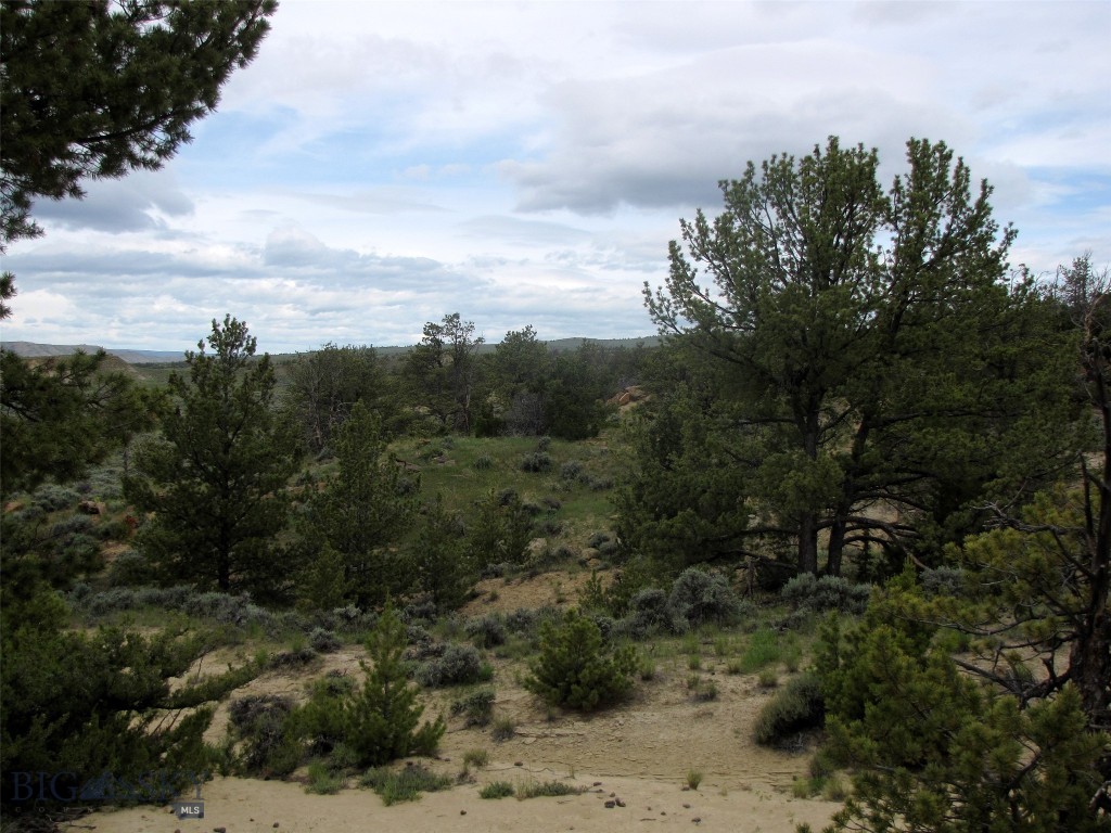 Nhn Cottonwood Road Property Photo 10
