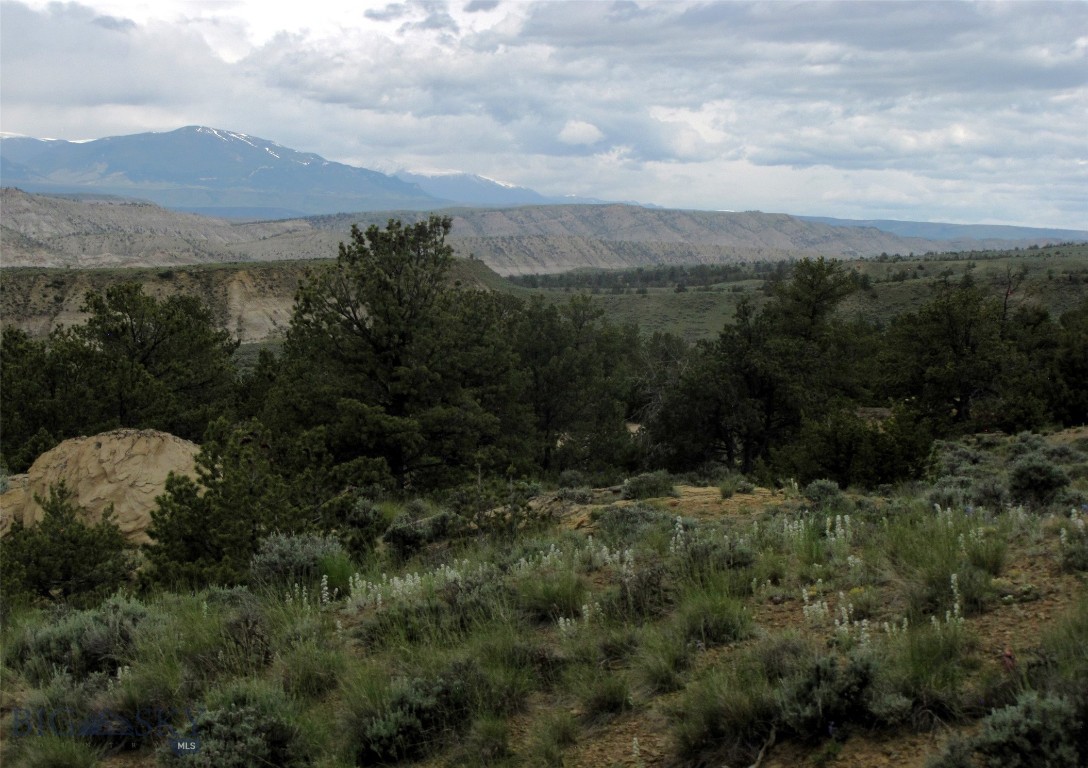 Nhn Cottonwood Road Property Photo 28