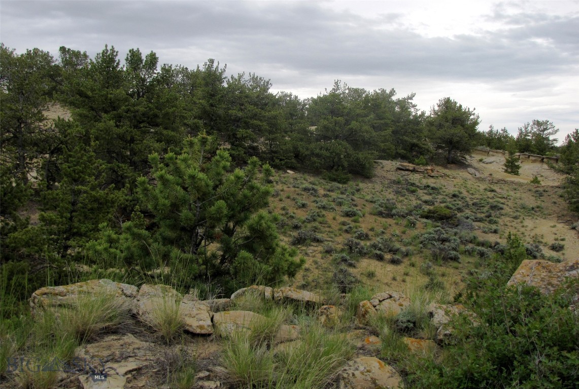 Nhn Cottonwood Road Property Photo 30