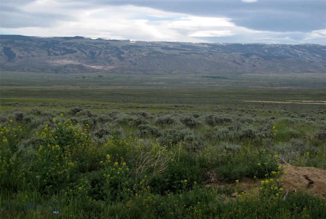 Nhn Cottonwood Road Property Photo 31