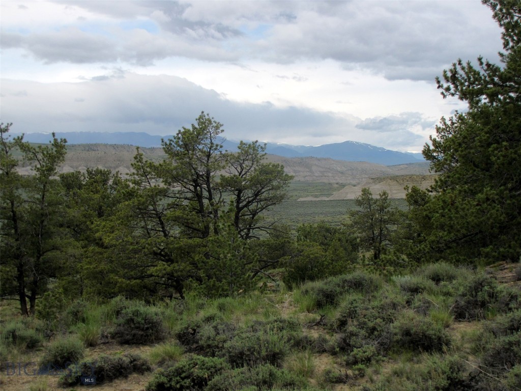 Nhn Cottonwood Road Property Photo 35