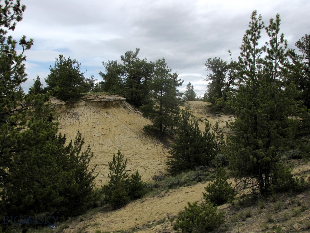 Nhn Cottonwood Road Property Photo 38