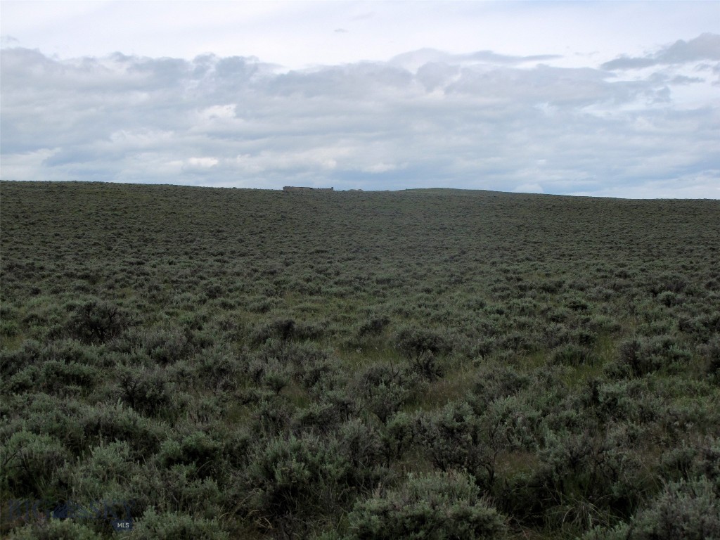 Nhn Cottonwood Road Property Photo 43