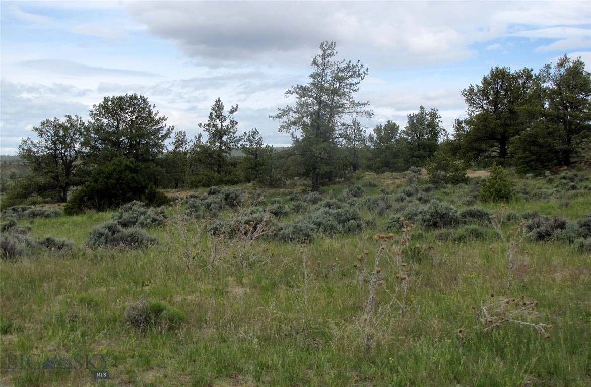 Nhn Cottonwood Road Property Photo 45