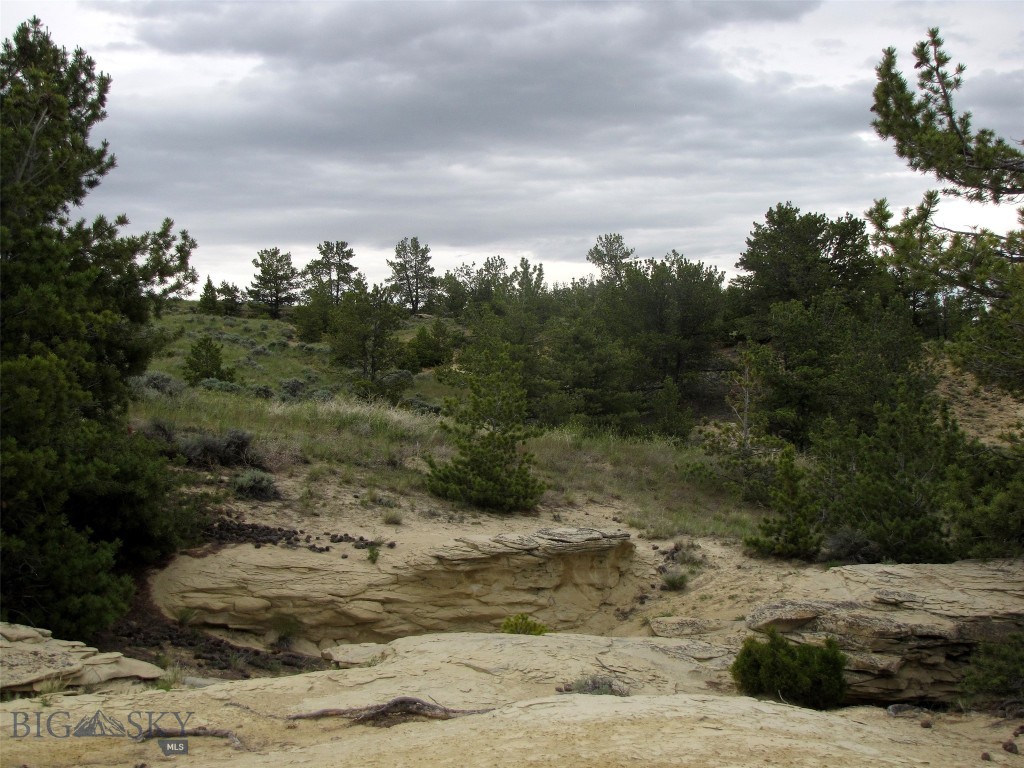 Nhn Cottonwood Road Property Photo 48