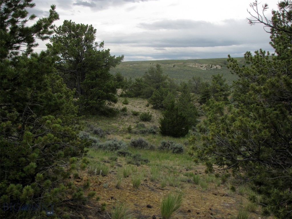 Nhn Cottonwood Road Property Photo 54