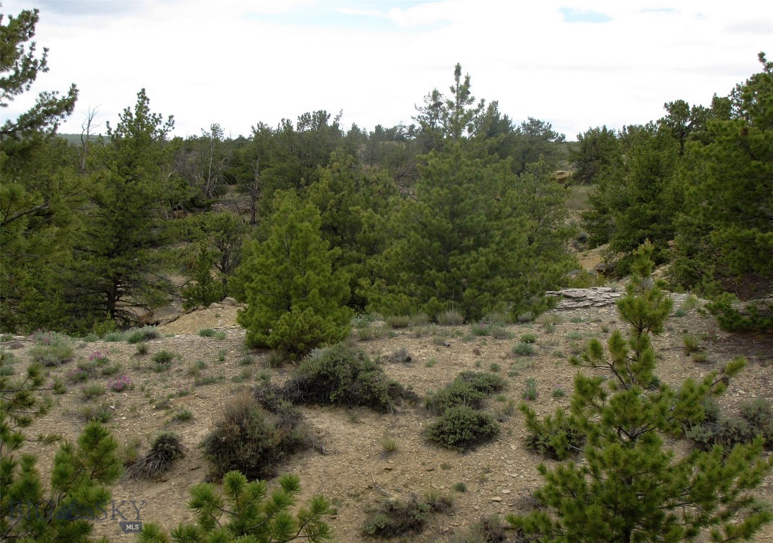 Nhn Cottonwood Road Property Photo 55