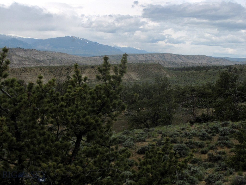 Nhn Cottonwood Road Property Photo 56