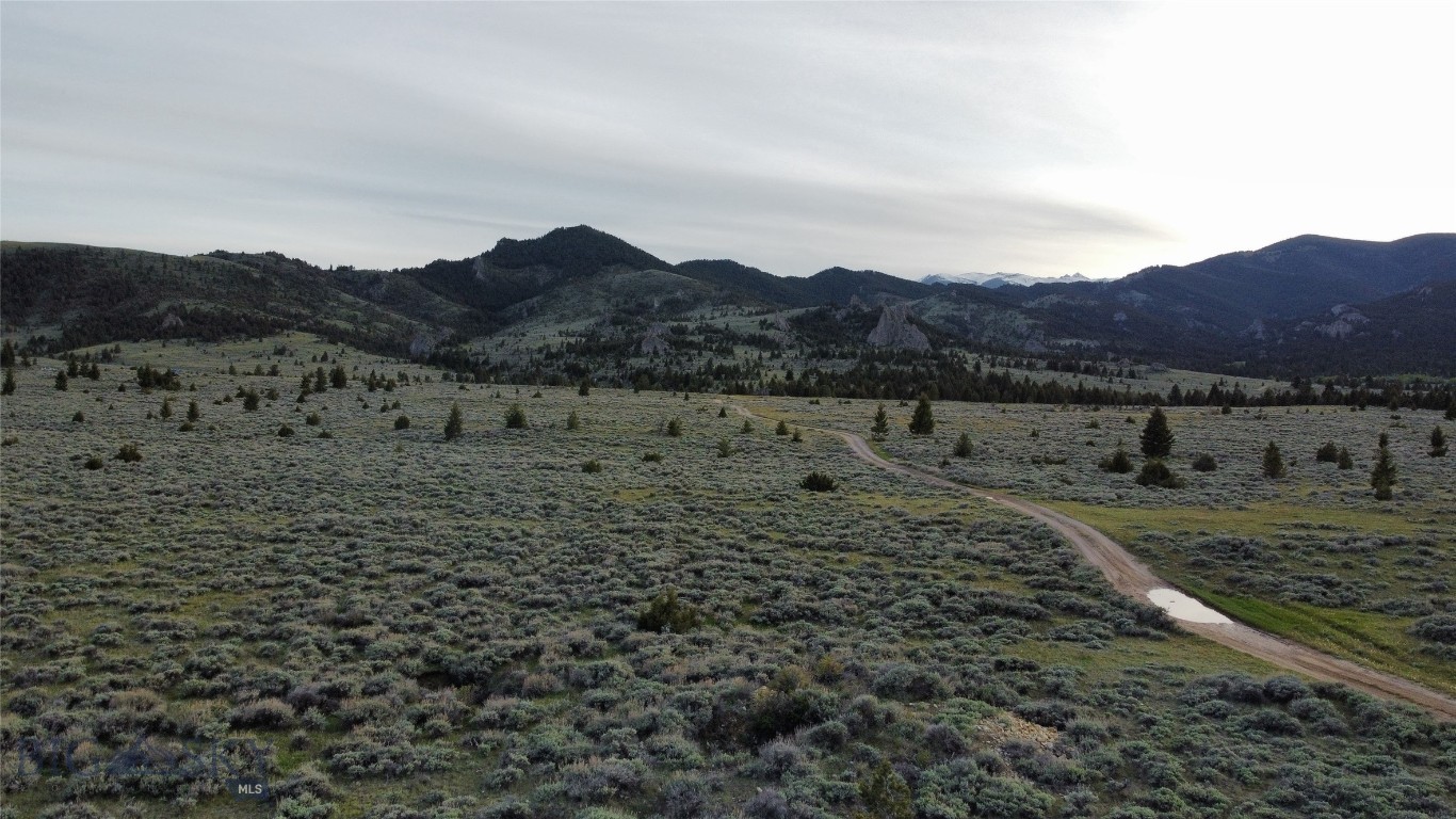 Tbd Swayback Road Property Photo 3
