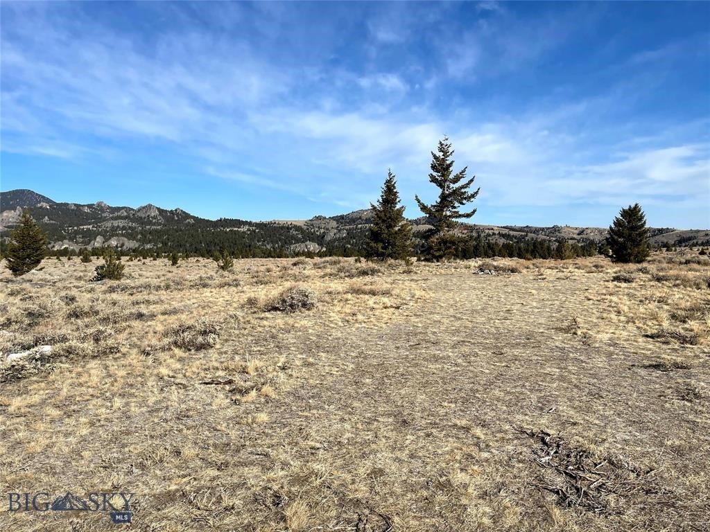Tbd Swayback Road Property Photo 8