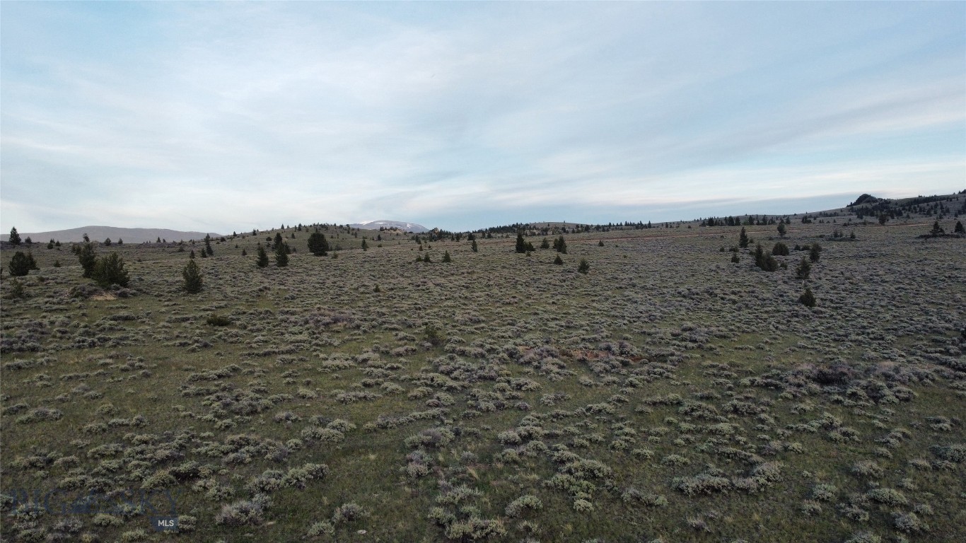 Tbd Swayback Road Property Photo 9