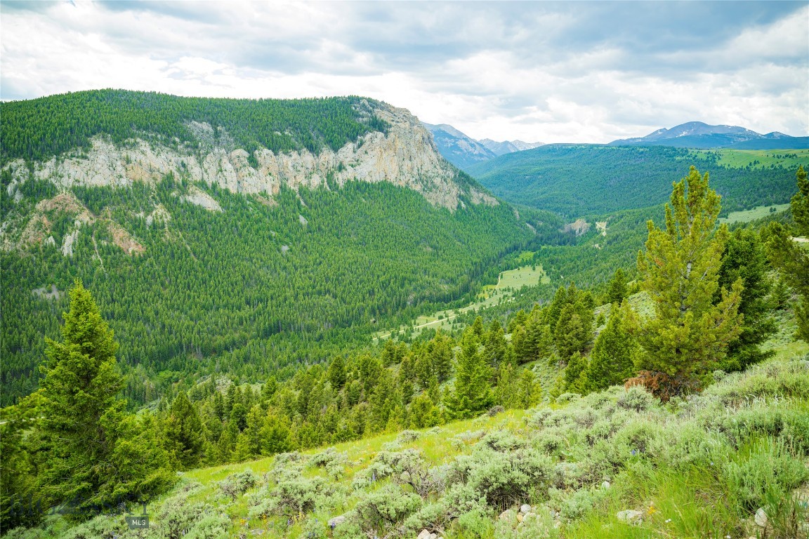 Tbd Canyon Creek Road Property Photo 45