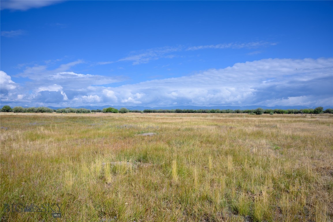 Nhn Hwy 43 Property Photo 6