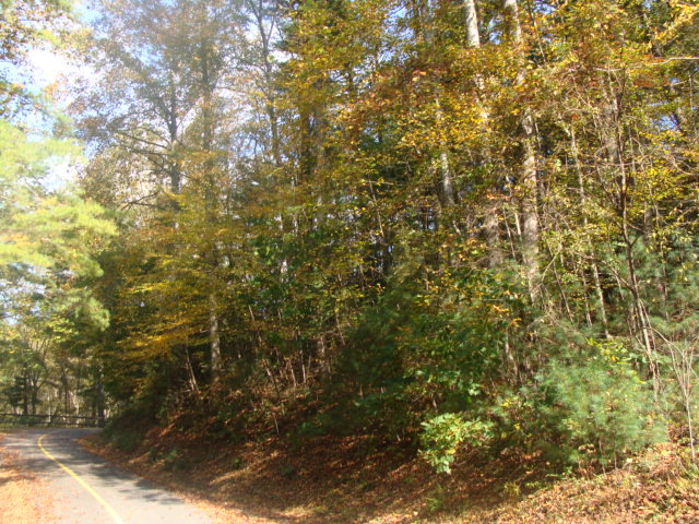 Tbd Otter Creek Trail Property Photo