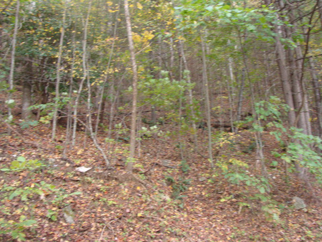Tbd Cascade Trail Property Photo